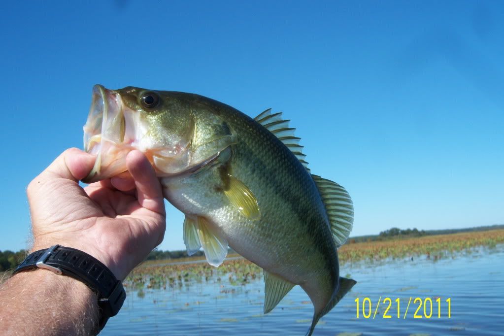 Noon time at the Rez